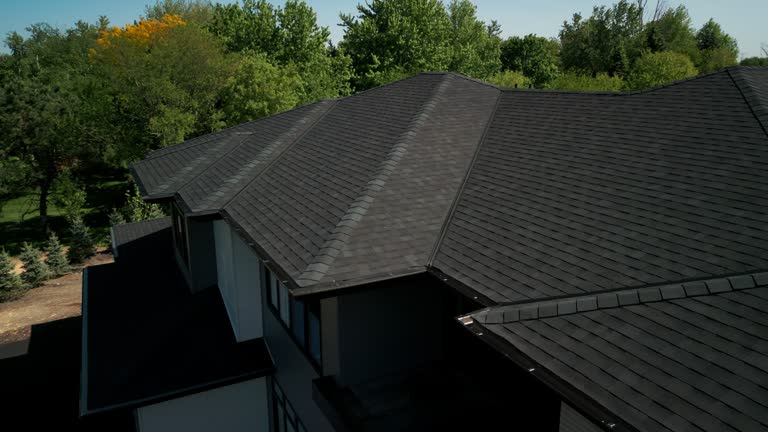Steel Roofing in Acres Green, CO
