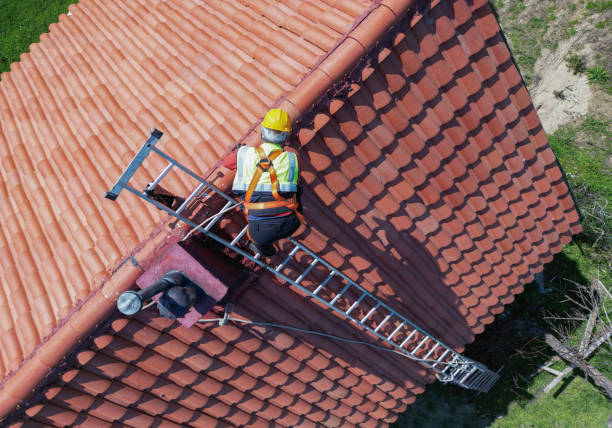 Best Flat Roofing  in Acres Green, CO