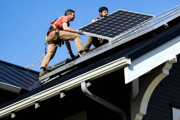 Best Chimney Flashing Repair  in Acres Green, CO