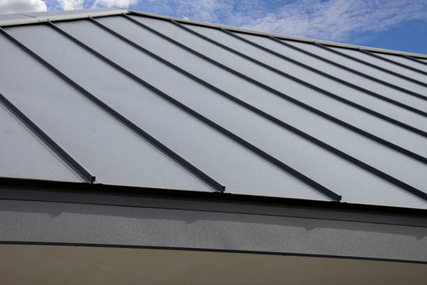 Best Roof Coating and Sealing  in Acres Green, CO
